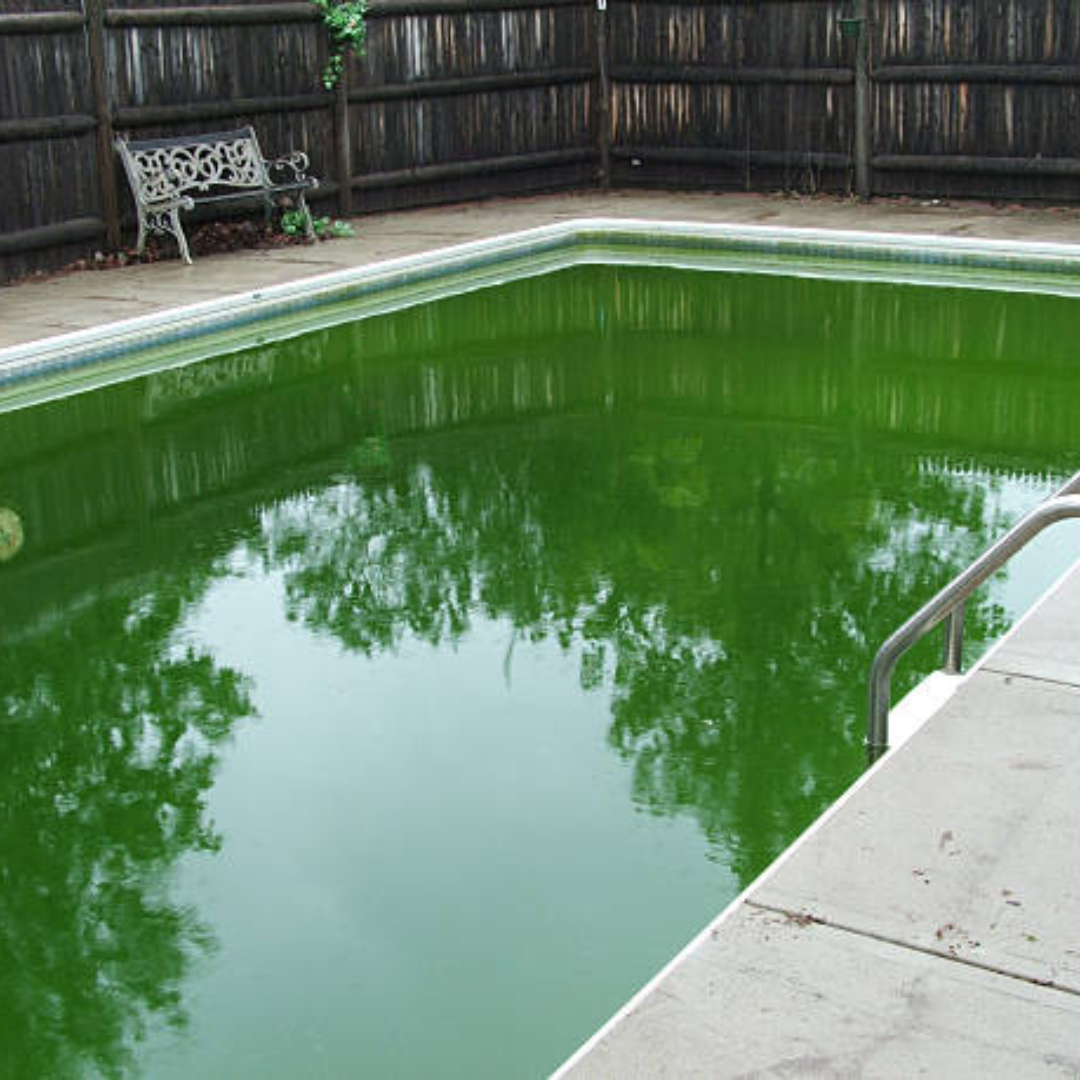 What Happens if You DONT Take Care of Your pool?