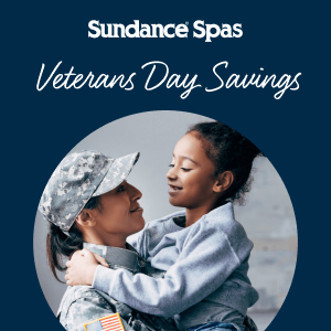 Veteran day savings